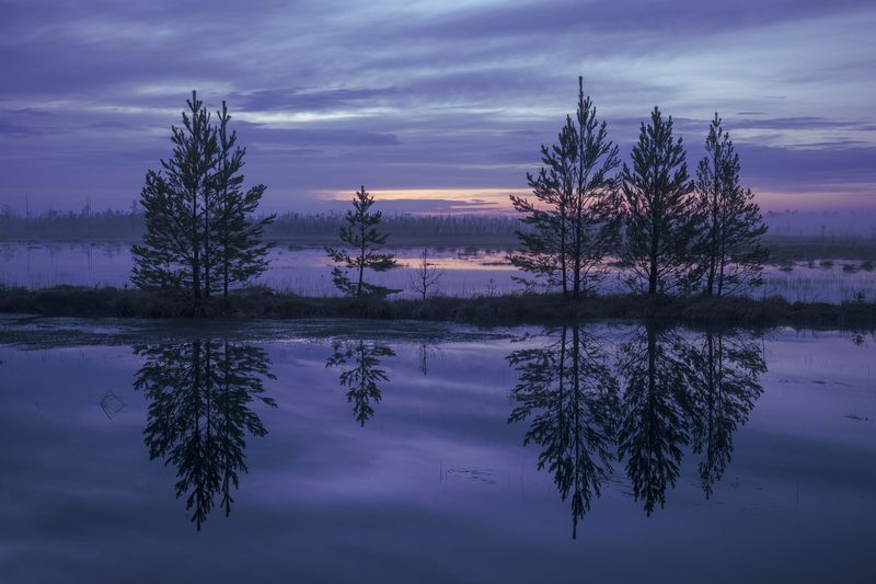 Югра, ночь, пейзаж, отражения, болото Белые ночи фото превью