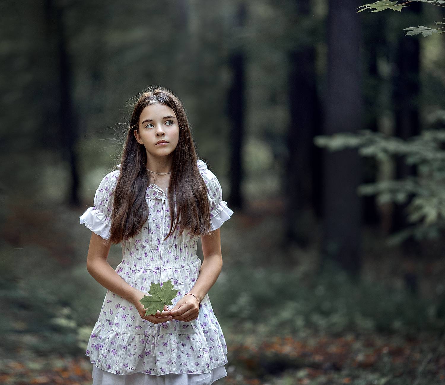 , Солнечный Александр