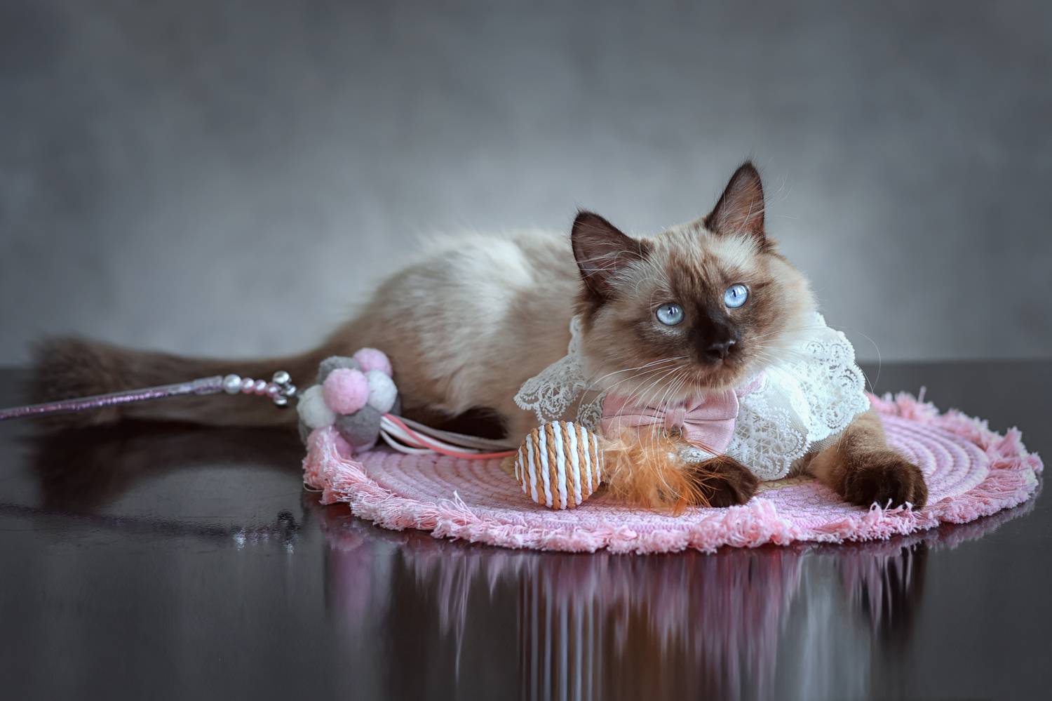 , Лысенкова Аксинья