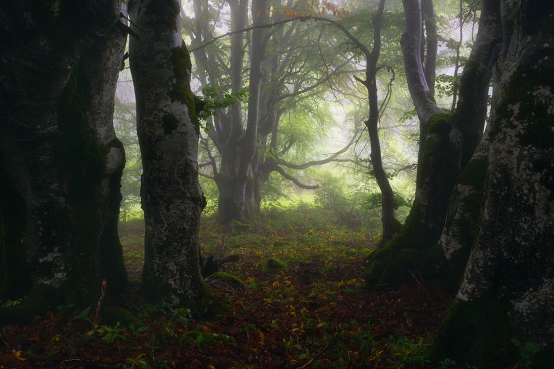 Pressure фото превью