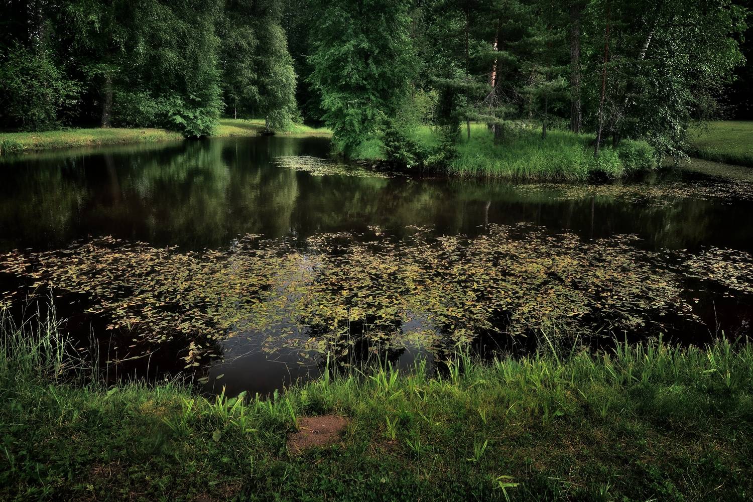 , Алексей Никонов