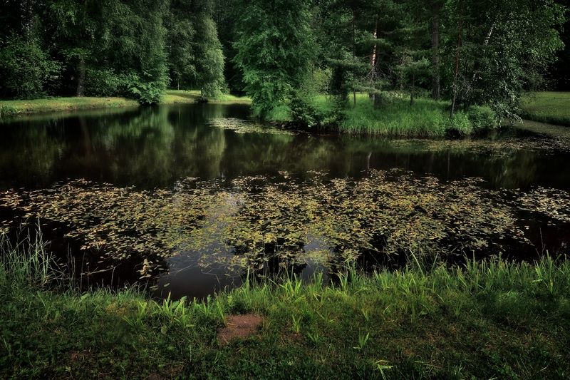 В тишине фото превью