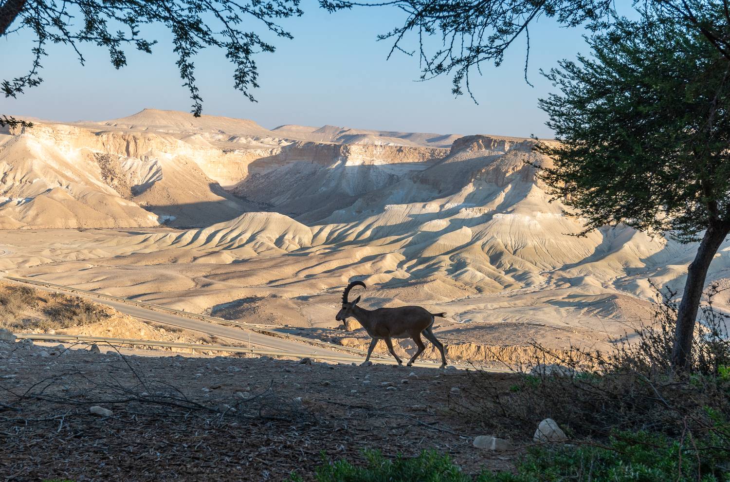 , Vladimir Bragilevsky