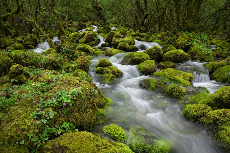 Shurubumu фото превью