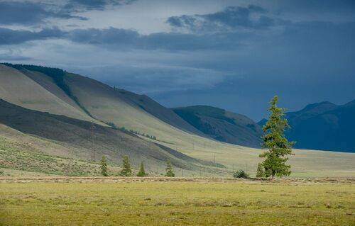 Фототур на Алтай , едем в 09.2026