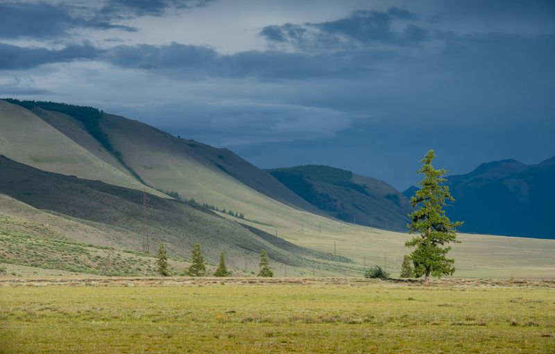 Алтай, Курайская, фототур_на_Алтай Фототур на Алтай , едем в 09.2026 фото превью