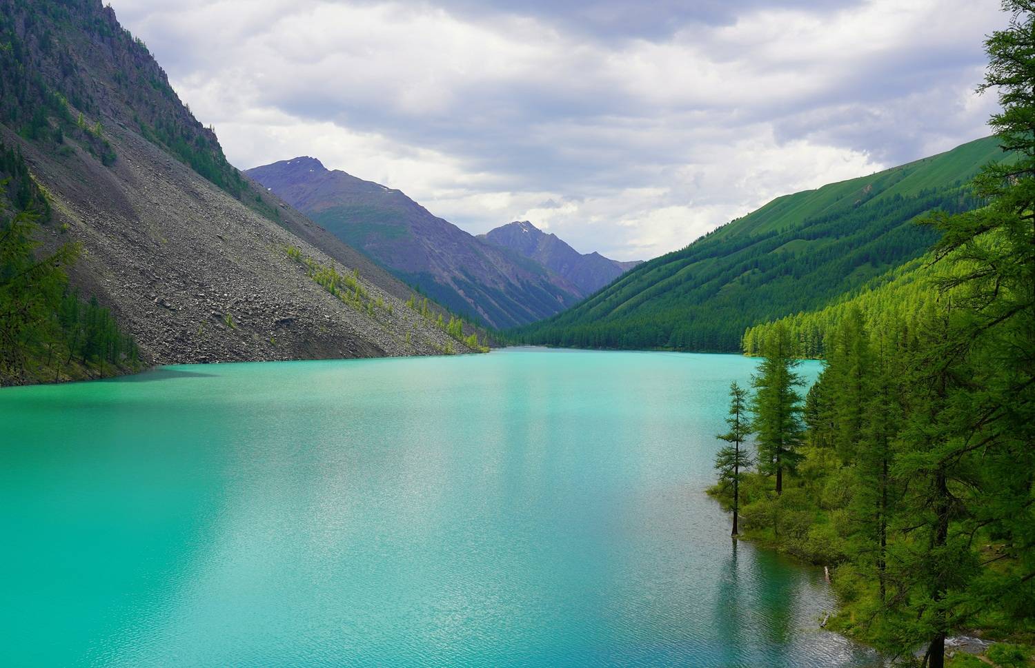 ,  Сергей Андреевич