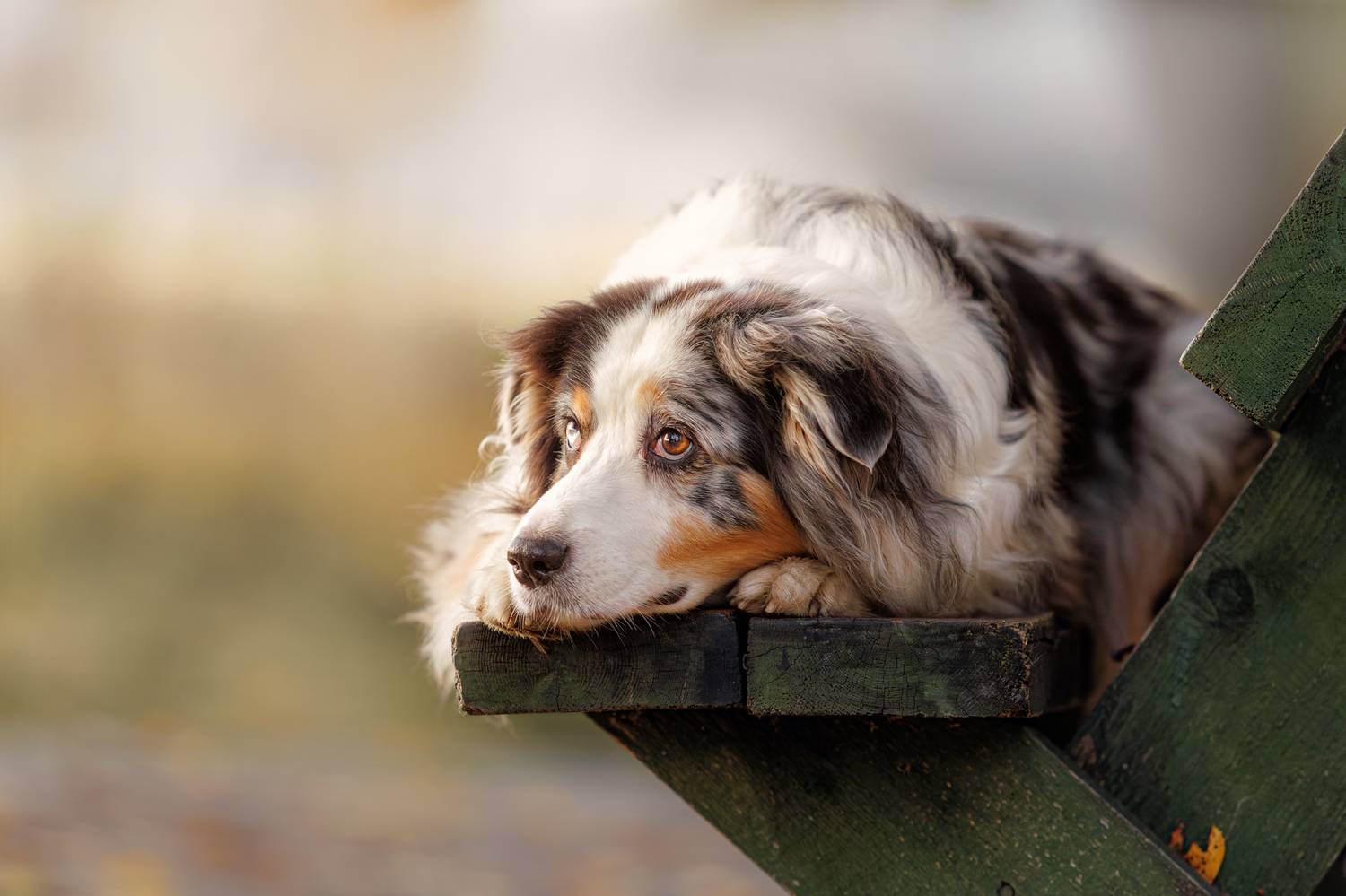 , Яна Нарбутович