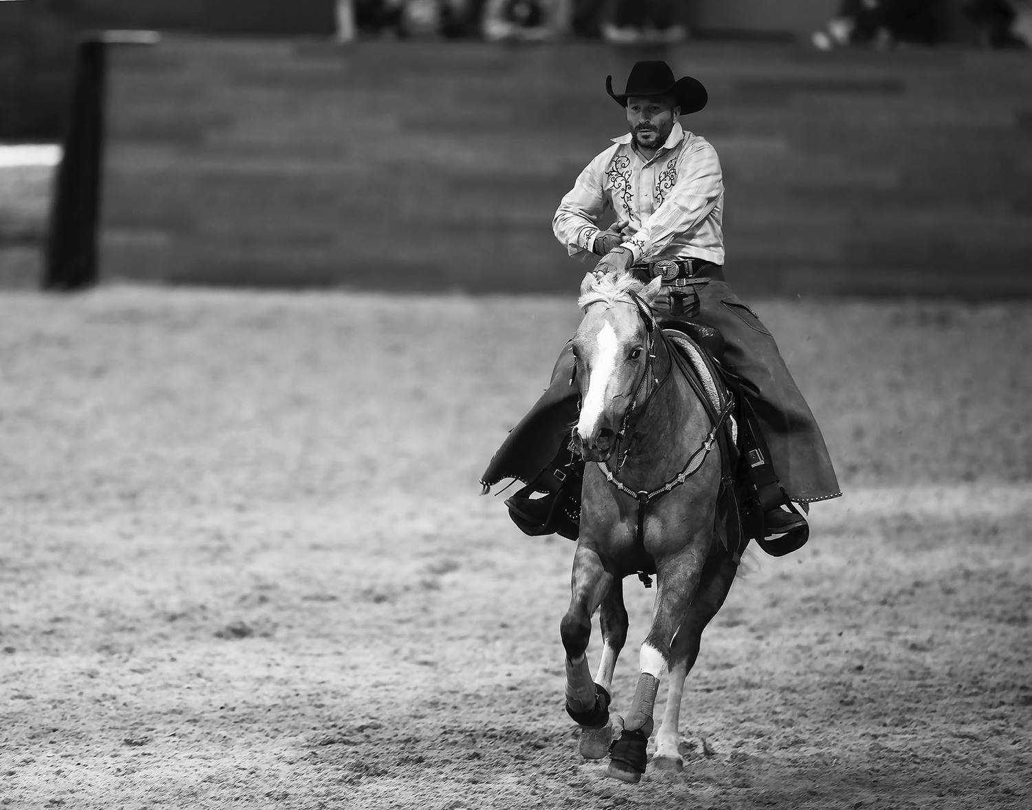 соревнования, вестерн,спорт,репортаж ,competition, horse, movement , sport, Стукалова Юлия
