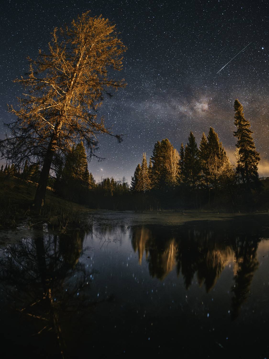 , Даниил Мелехов