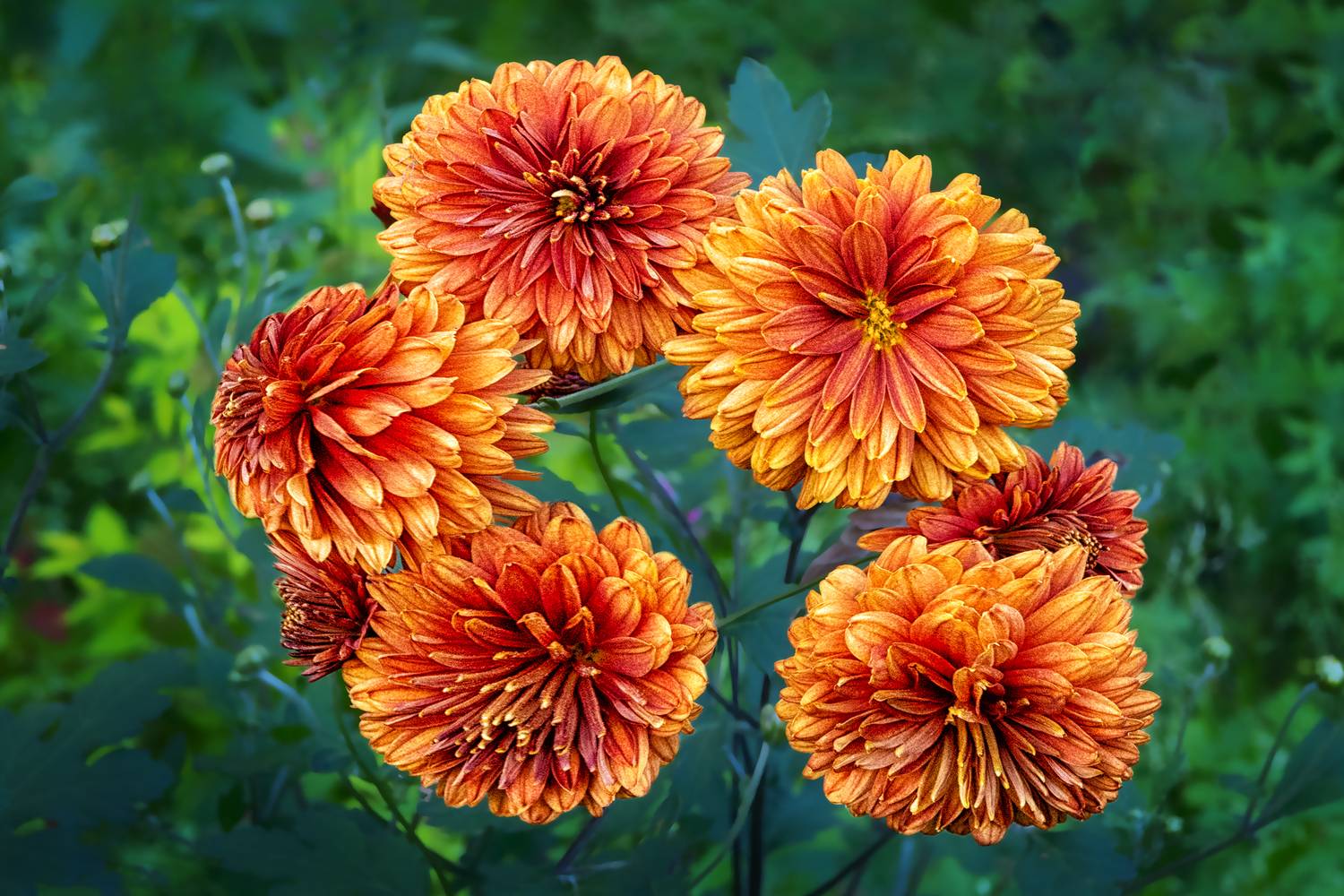 , Ушаков Валерий