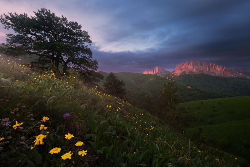 фото превью