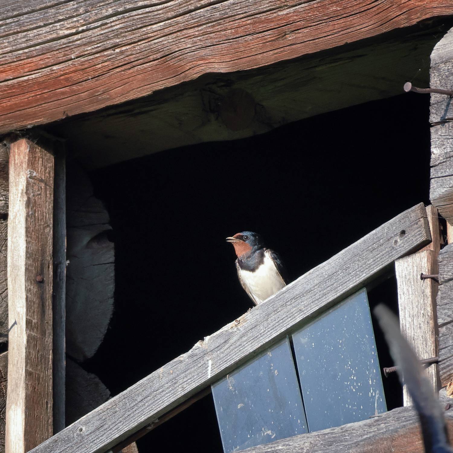 , Александр Титов