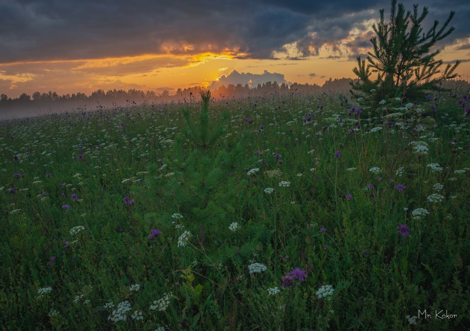 , Кокорин Алексей