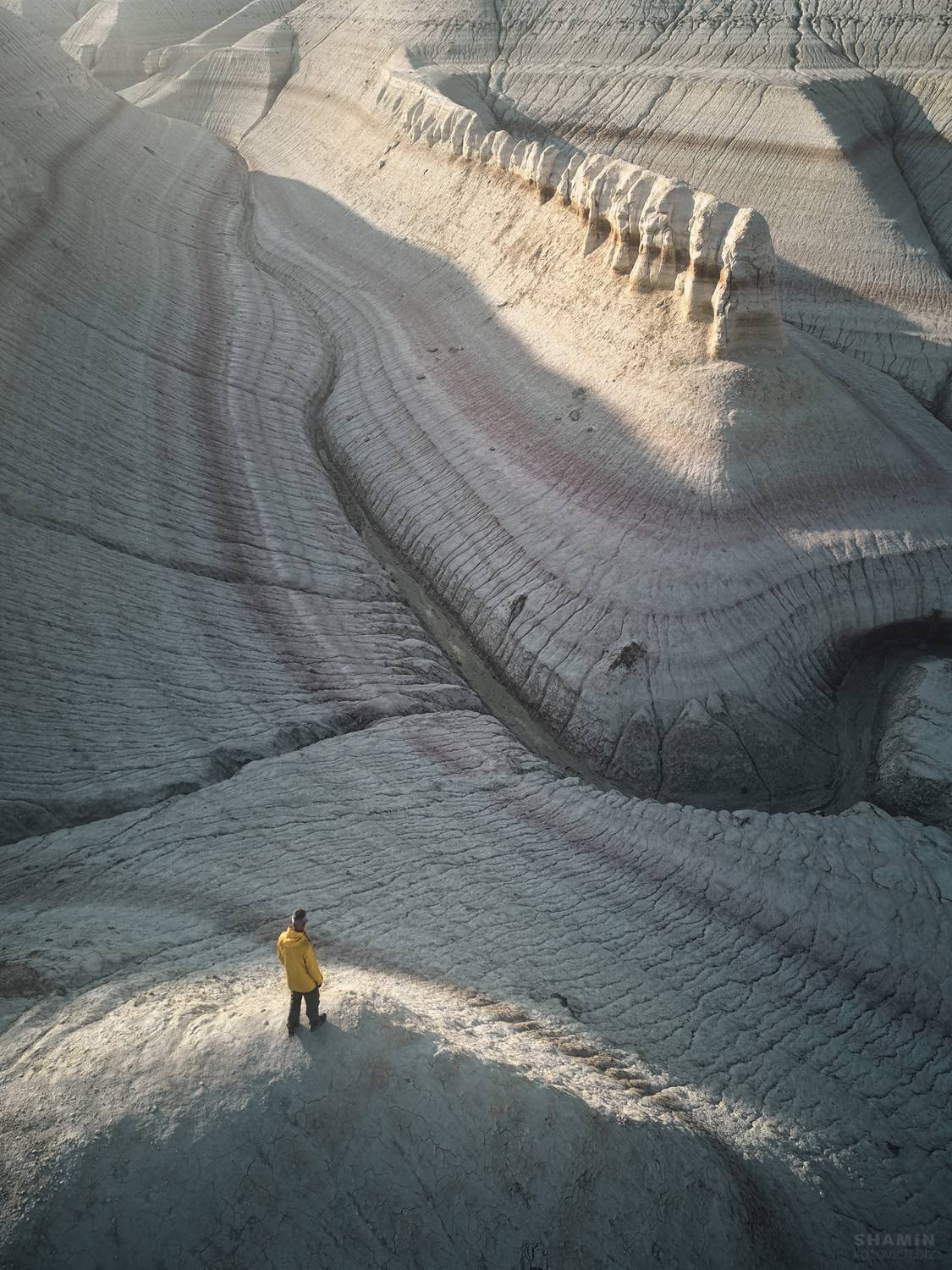 , Константин Шамин