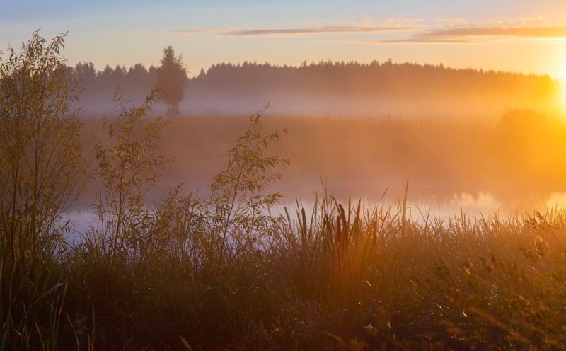 рассвет, туман  фото превью