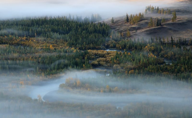 алтай, чуя, горный алтай, курай Утро над Чуей фото превью