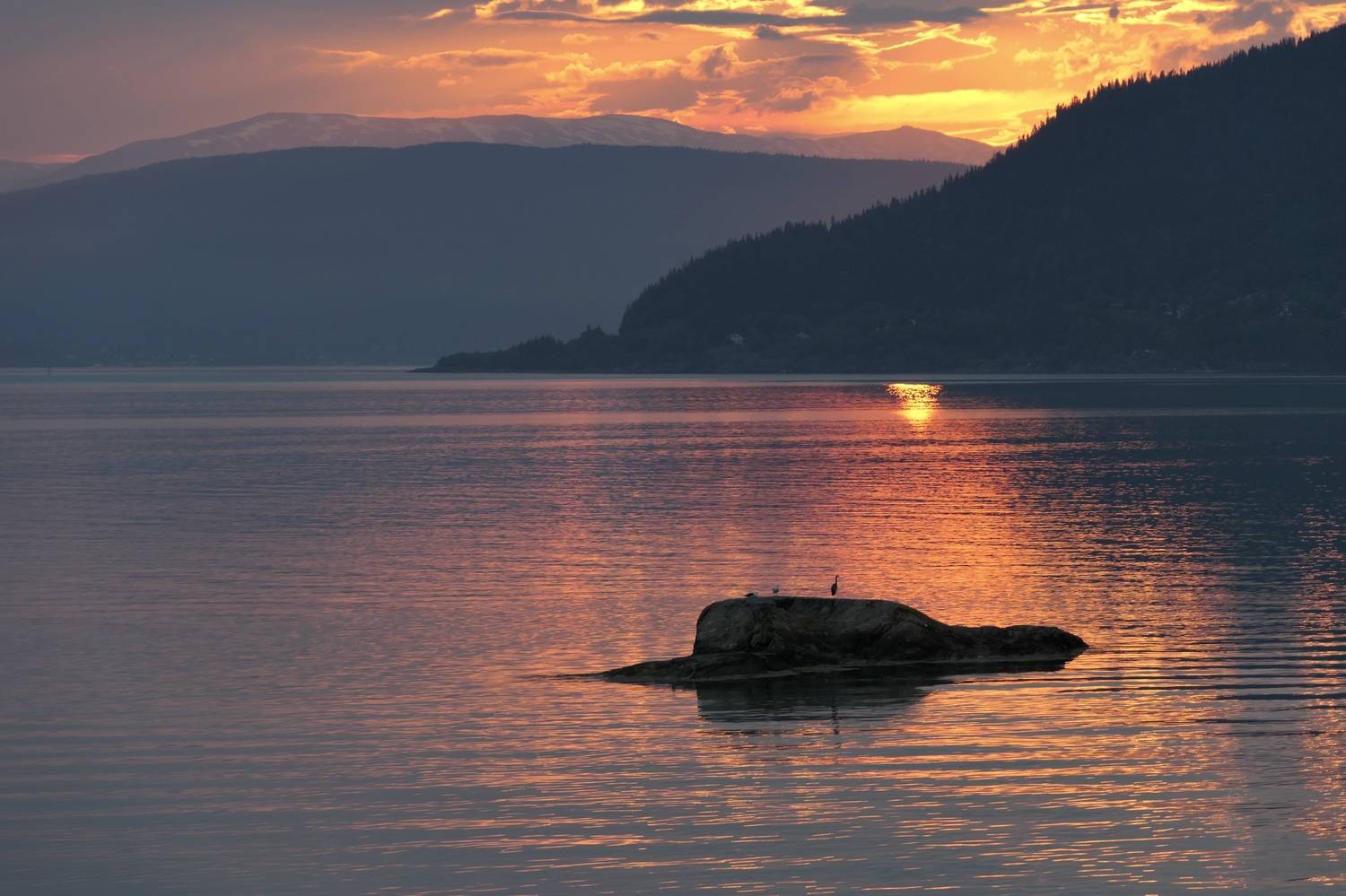 Landscapes, Norway, Sunrise, Birds, Colorful, Mountains, Fjords, , Povarova Ree Svetlana