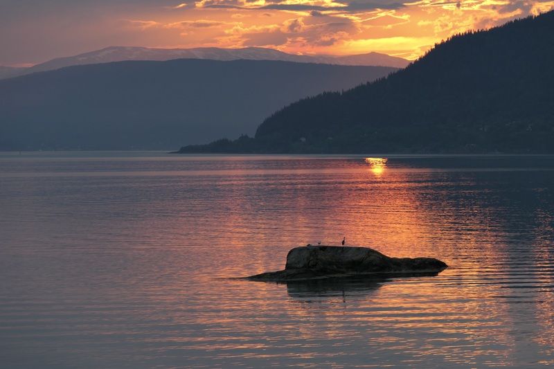 Landscapes, Norway, Sunrise, Birds, Colorful, Mountains, Fjords,  Трио на рассвете фото превью