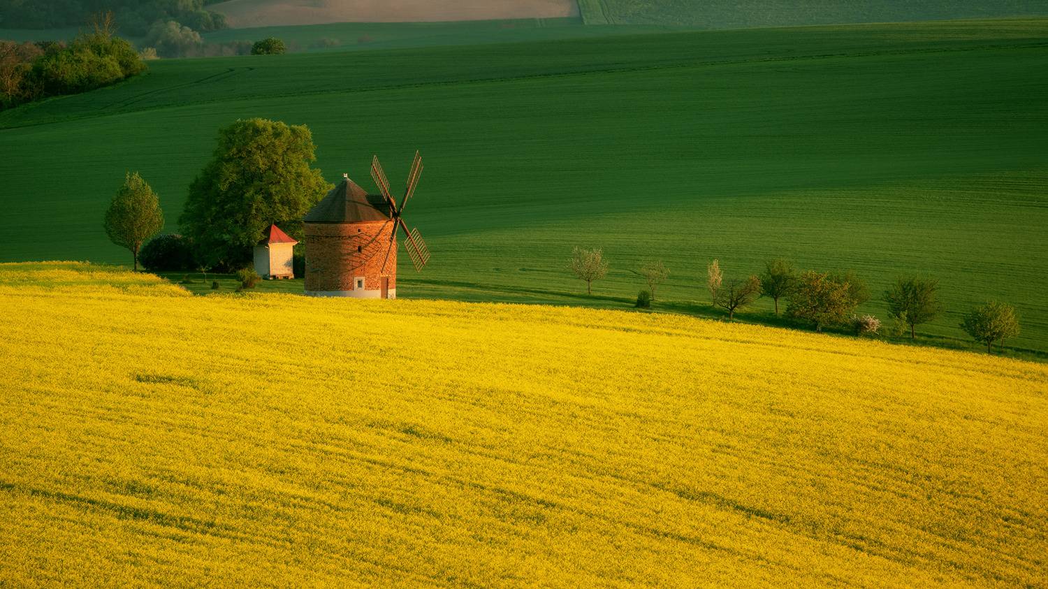 mill,field,sunset, Milan Samochin