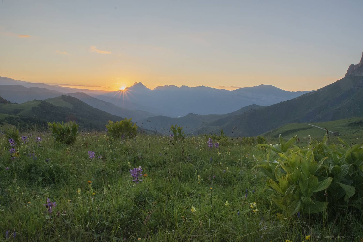 , Шипунова Ирина