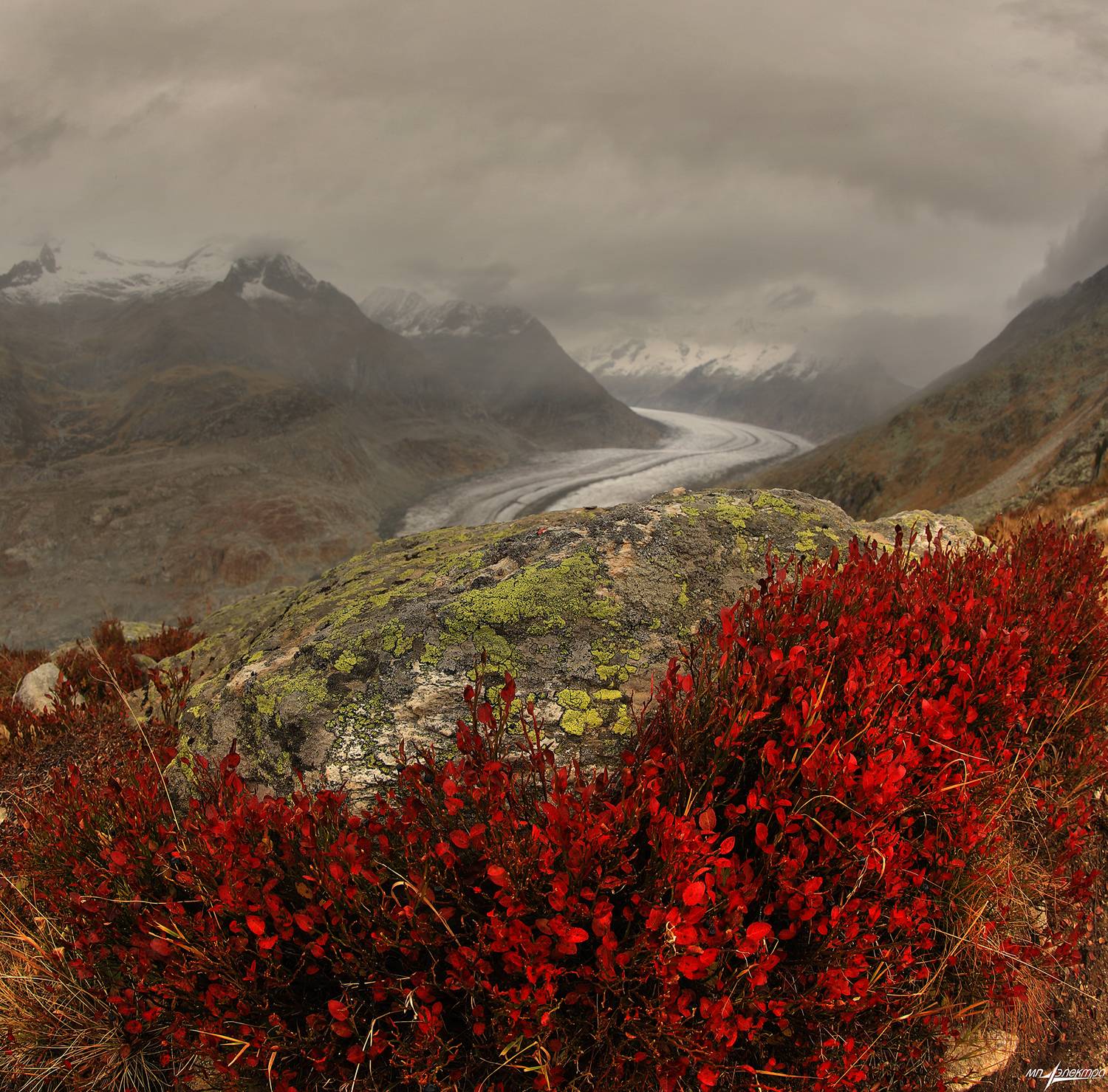 swiss, Матвеев Николай