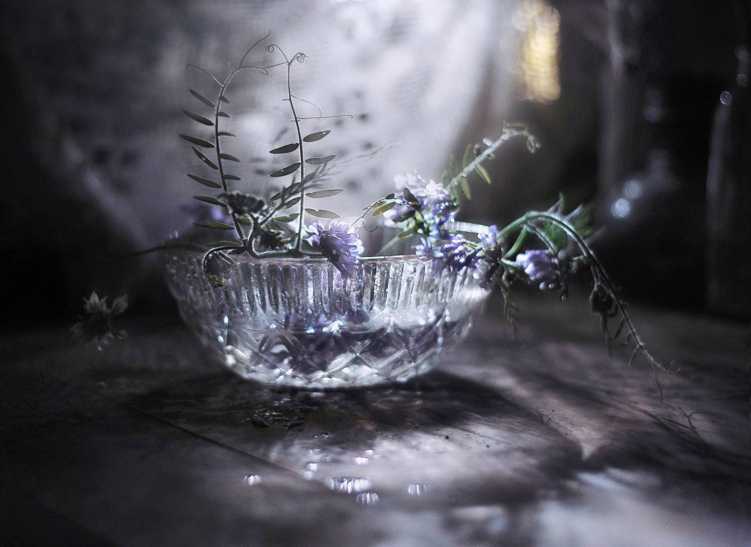 натюрморт, лето, цветы, свет, ночь, Буглак Инна