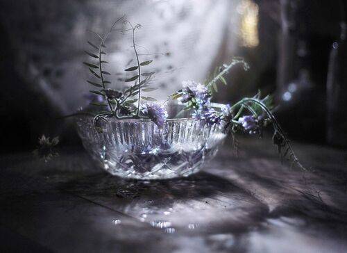 Летней ночи лунное мерцание 