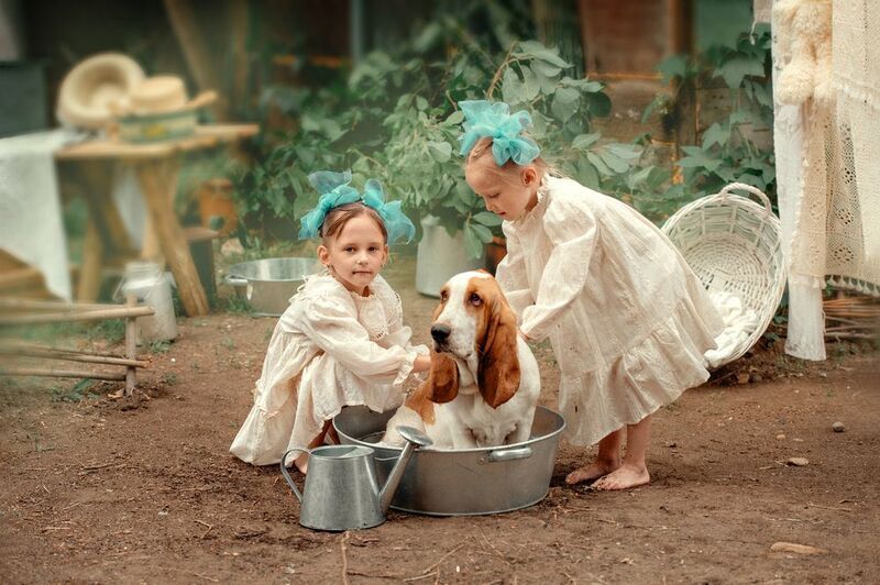 фото превью