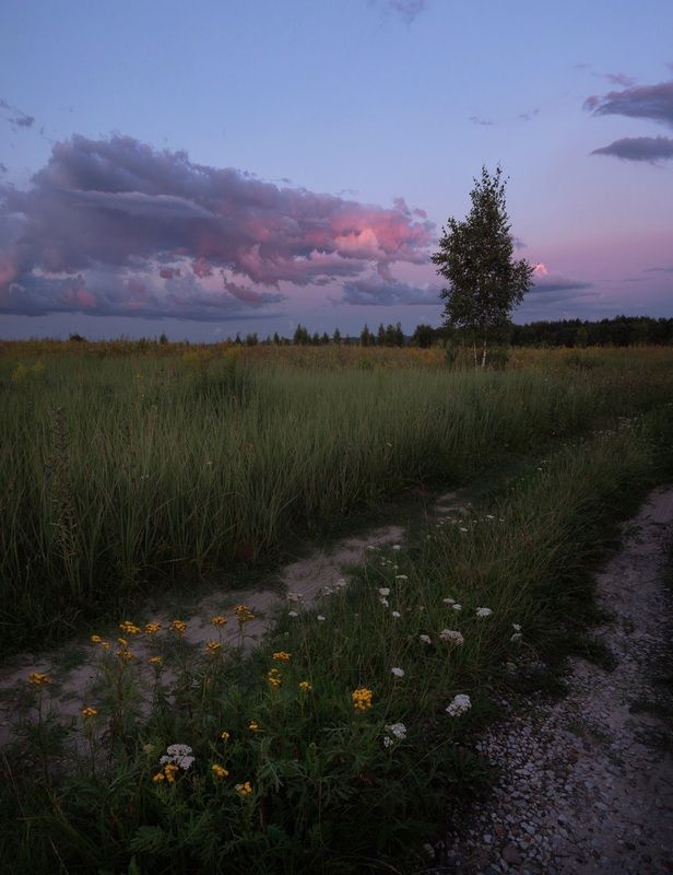 *** фото превью