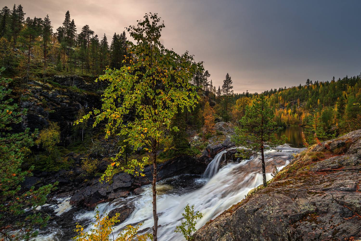север, кольский, заполярье, маманя, Роман Горячий