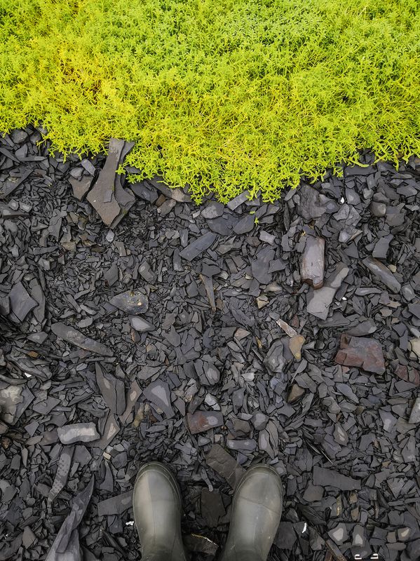 рыбачий, фототур, яковлевфототур, кольский, арктика Текстуры под ногами фото превью