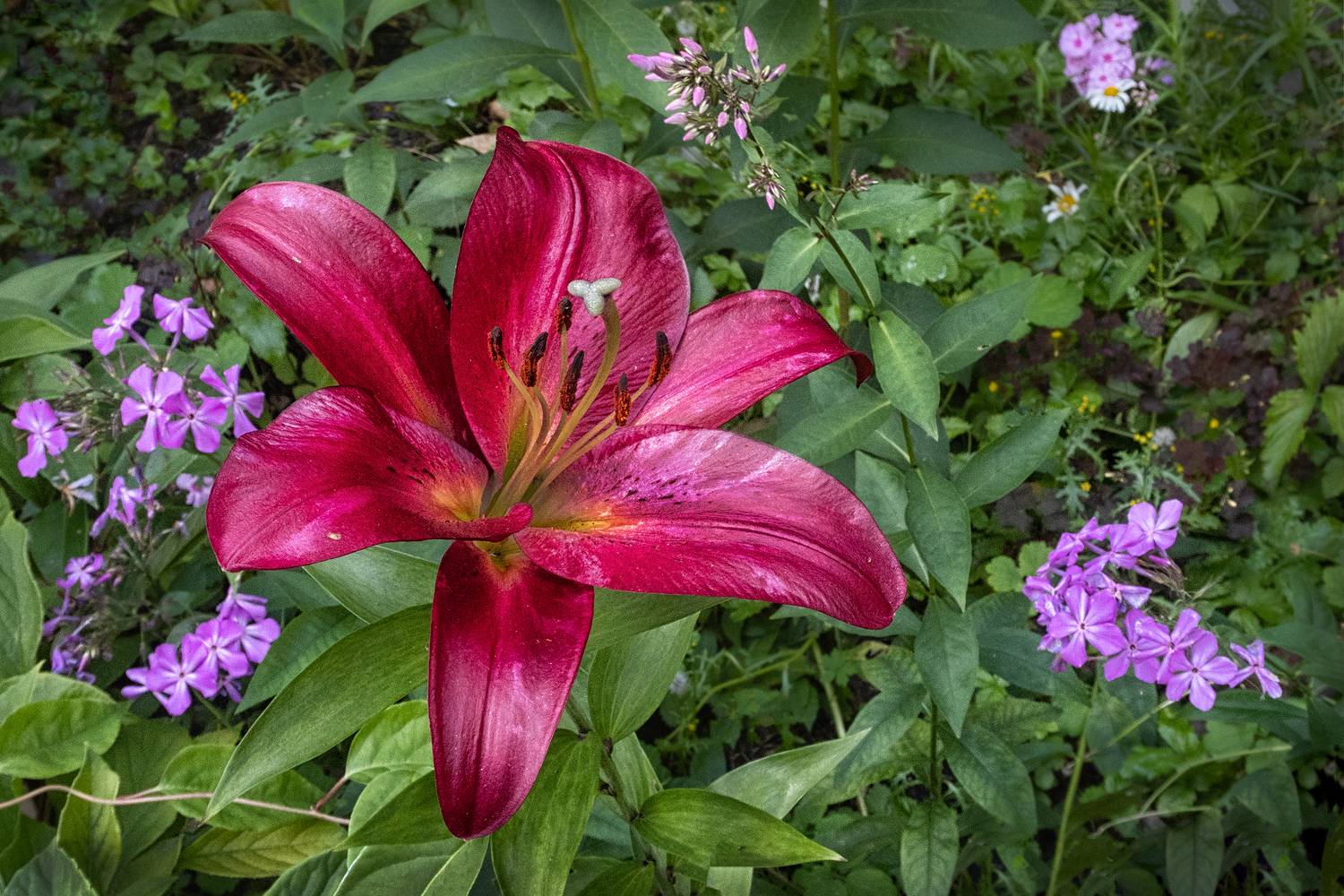 , Ушаков Валерий