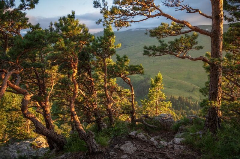 фото превью