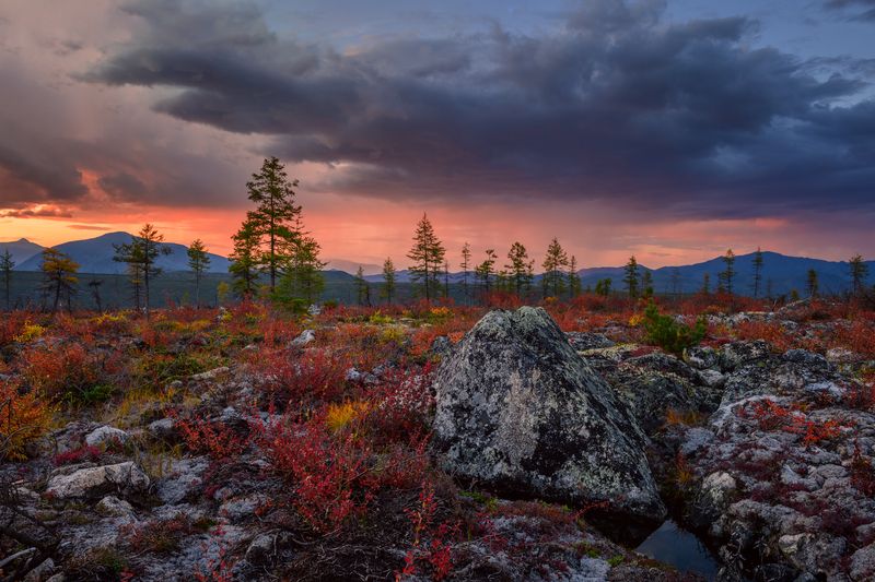 озеро джека лондона Персиковые дожди Колымы... фото превью
