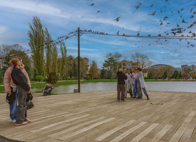 Голубь птица мира фото превью