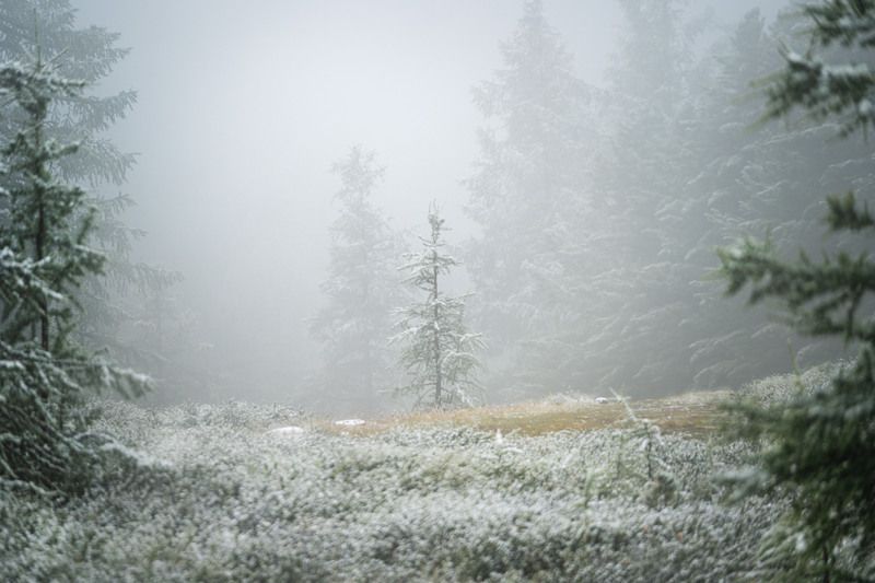 Июльский снег…  July snow... фото превью