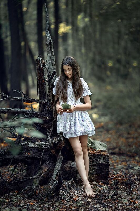 Nocturne фото превью