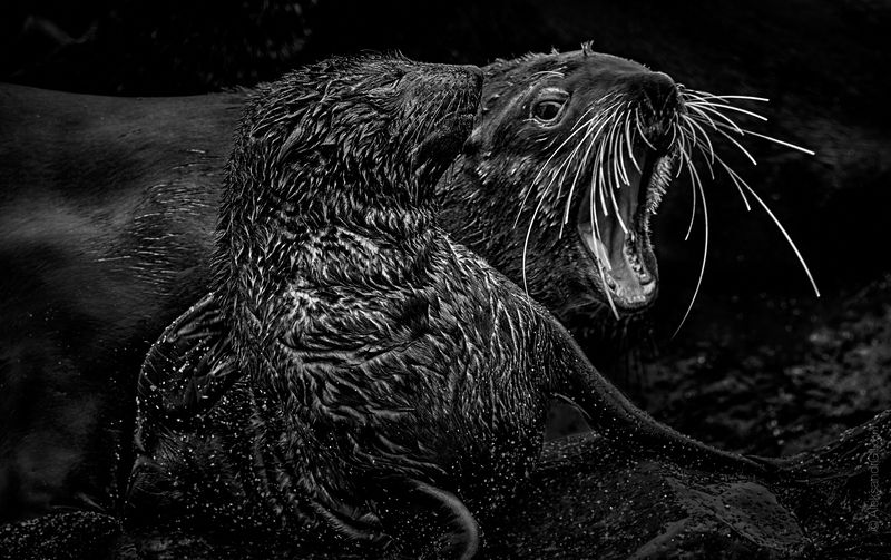 Конфликт поколений фото превью