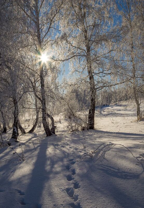 морозное фото превью