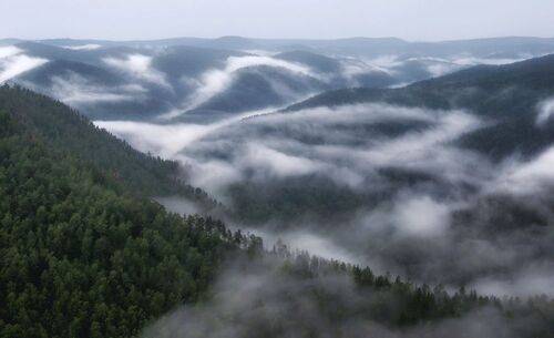 После дождя