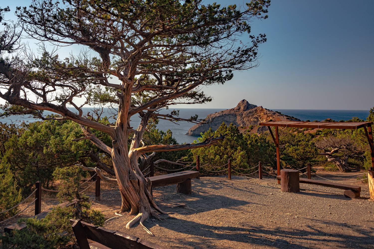 , Владимир Ноздрачев