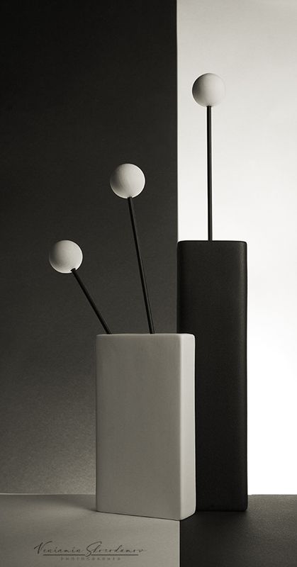 натюрморт, белое, чёрное, vensk Чёрное и Белое 1 фото превью