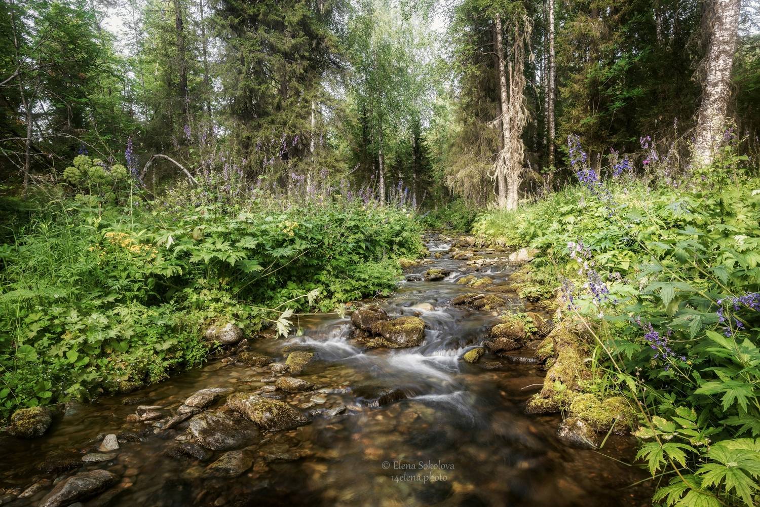 чувалка, горная река, пейзаж, Соколова Елена