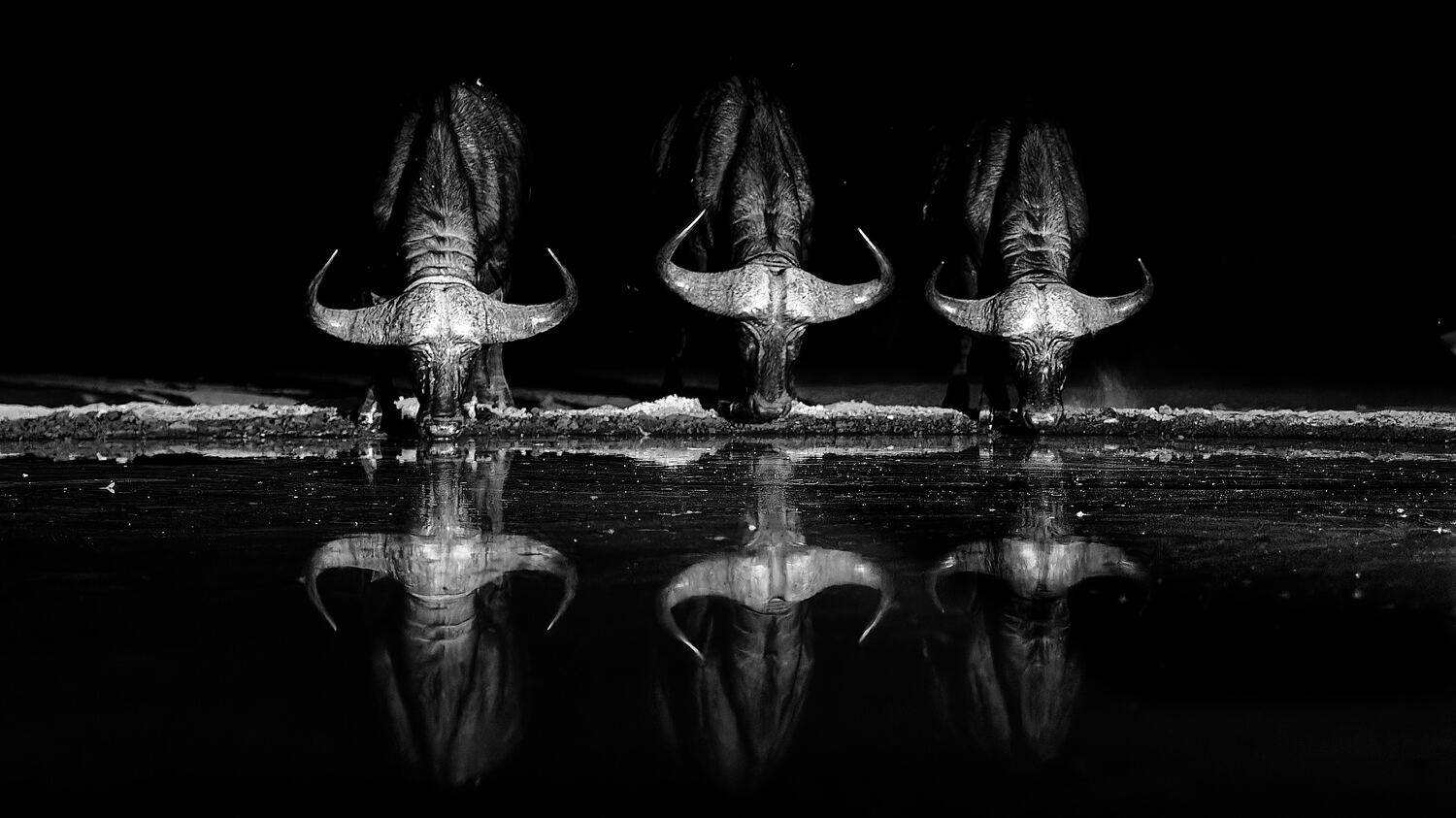 Shompole B&W, Boris Konovalov