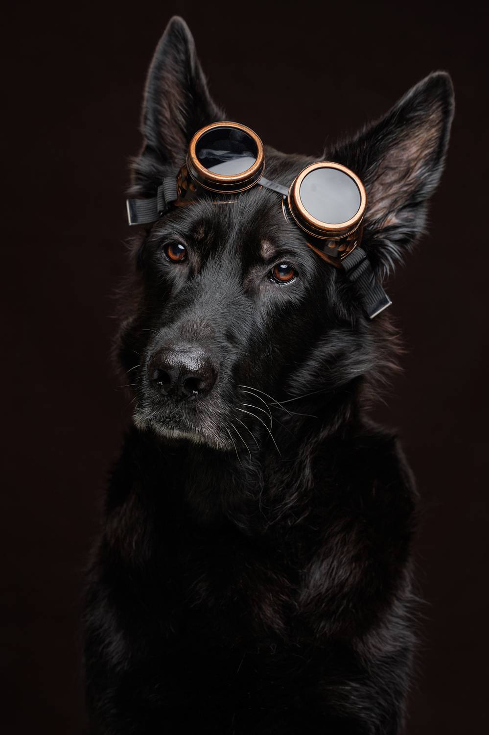 , Яна Нарбутович