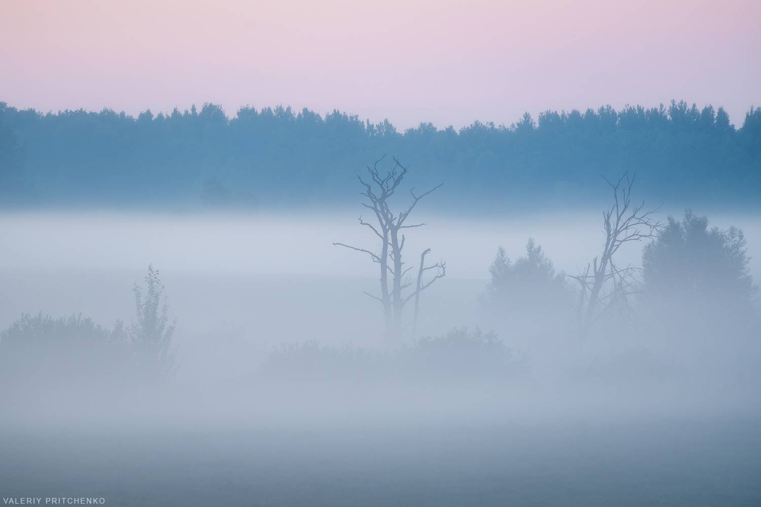 , Валерий Притченко