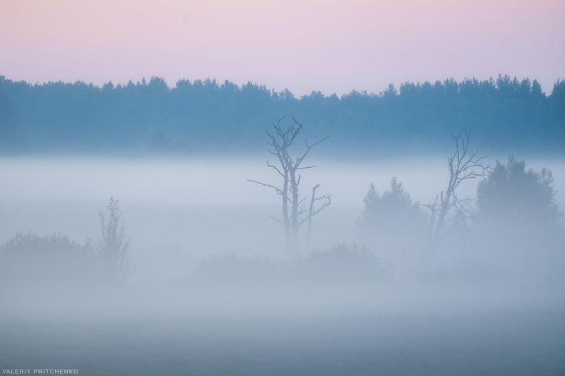 Вечерние туманы фото превью