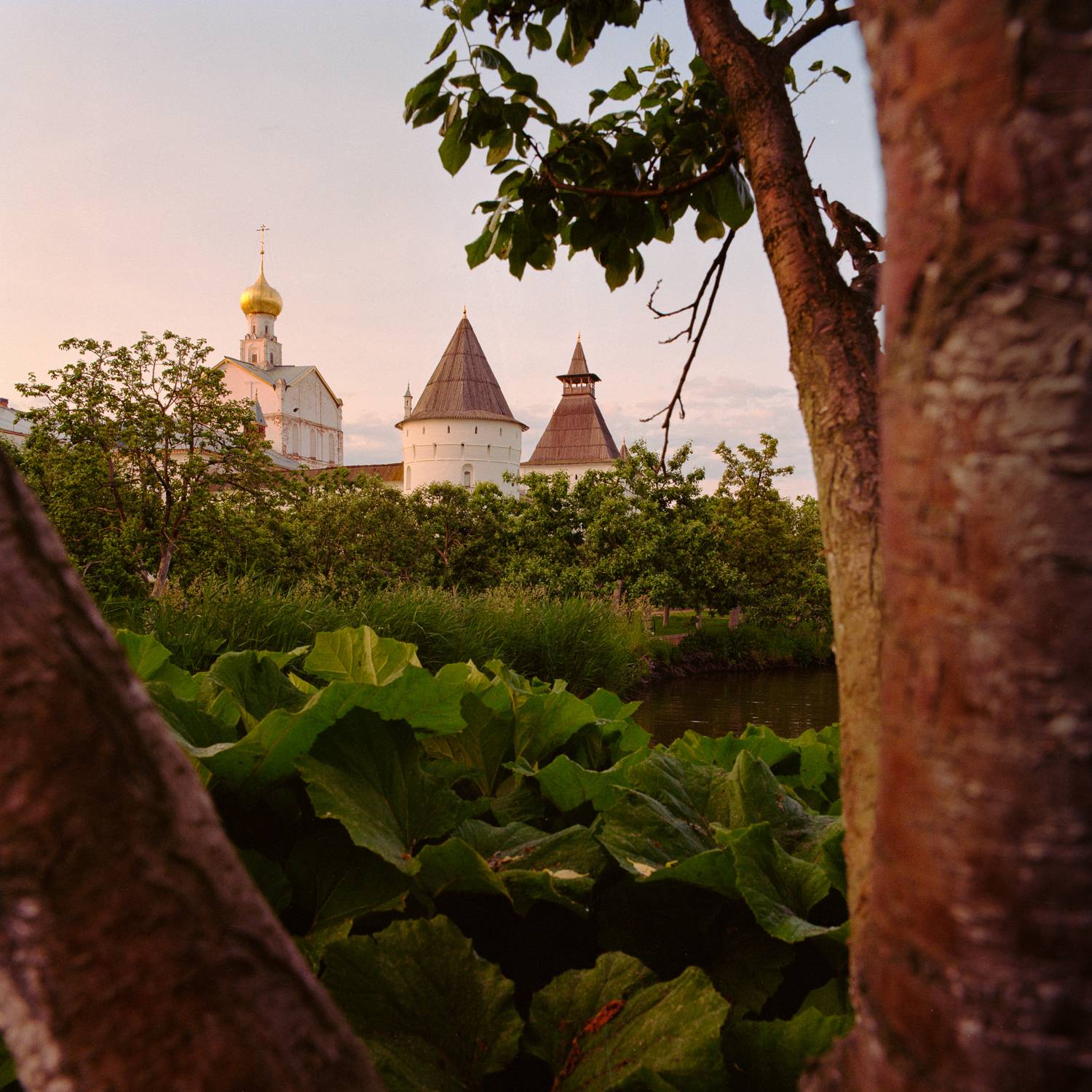 , Слава Азаров