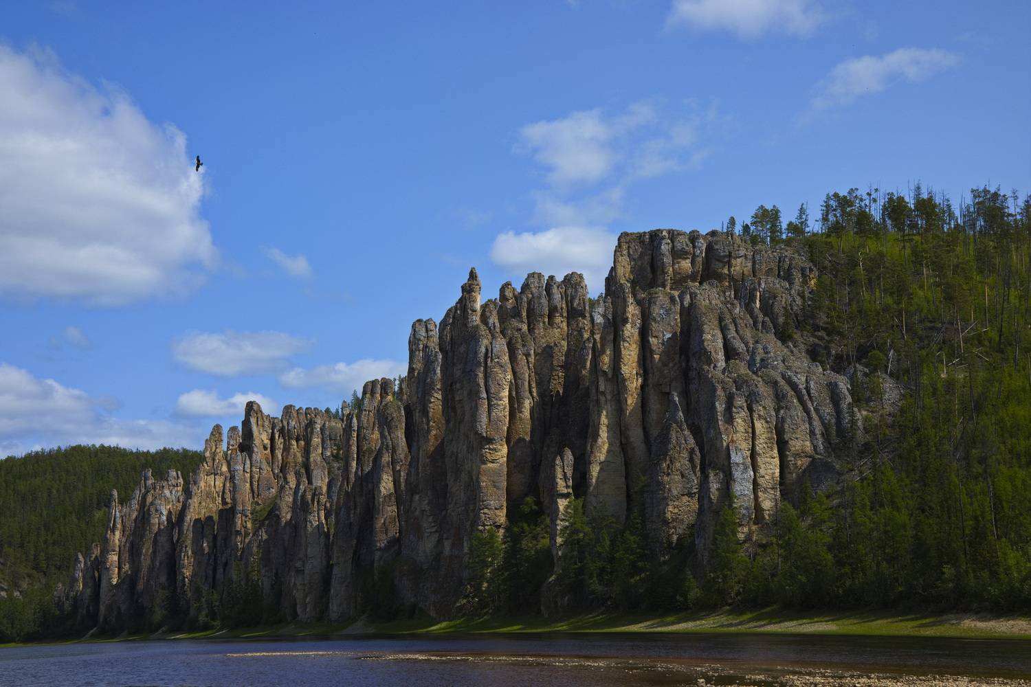 , Игорь Щербаков